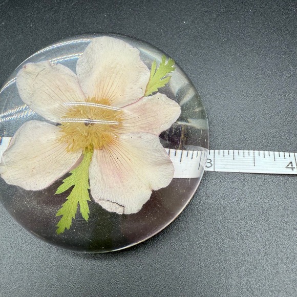 Vintage Resin Paperweight With Pressed‎ Alaskan Wild Rose Inclusion - Picture 6 of 8